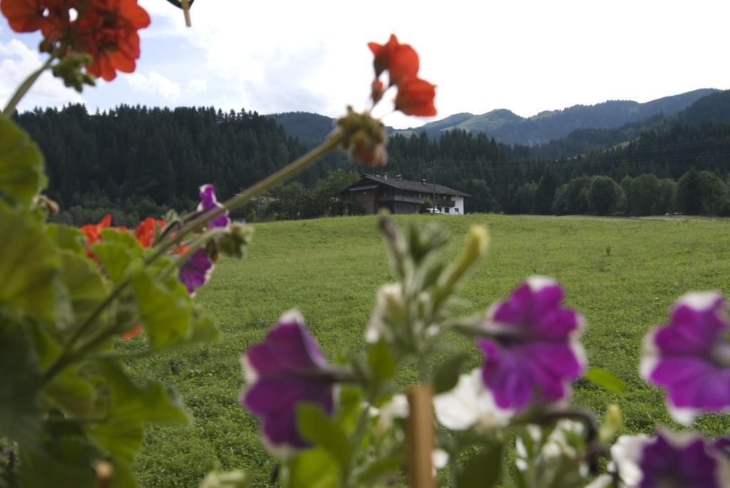 Haus Schatzbergblick Оберау Экстерьер фото